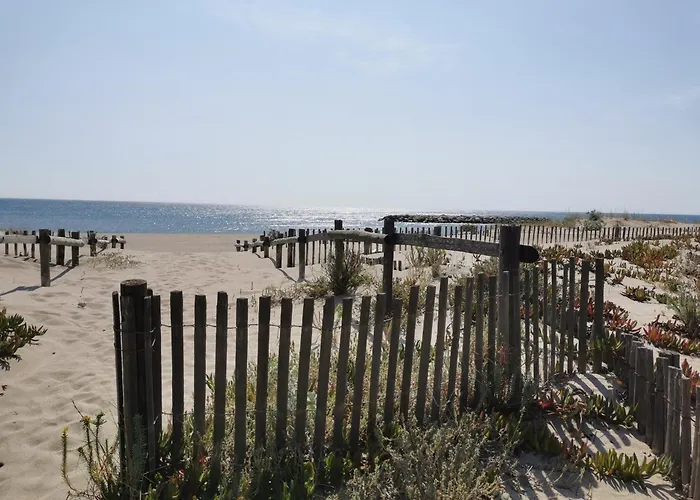 Agreable Pour 4 Pers. Terrasse Mer, Parking, Animaux Ok - Fr-1-799-28 Apartamento Le Barcarès